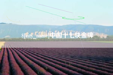 贵港中国十七块金牌