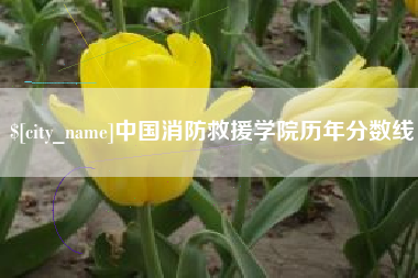 贵港中国消防救援学院历年分数线