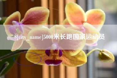 贵港5000米长跑国家运动员