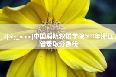 贵港中国消防救援学院2021年浙江省录取分数线