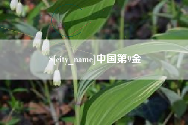 贵港中国第9金