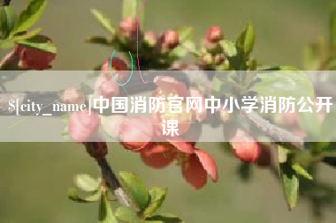 贵港中国消防官网中小学消防公开课