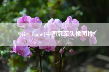 贵港中国冠军头像图片