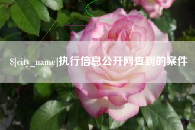 贵港执行信息公开网查到的案件