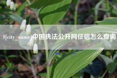 贵港中国执法公开网征信怎么查询