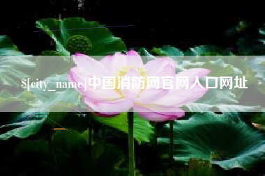 贵港中国消防网官网入口网址