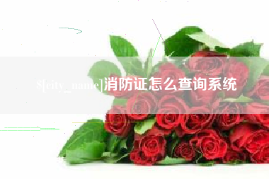 贵港消防证怎么查询系统