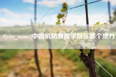 贵港中国消防救援学院在那个地方