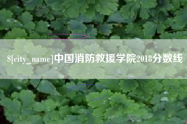 贵港中国消防救援学院2018分数线
