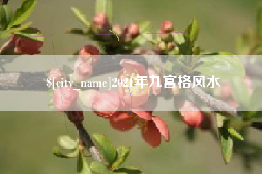 贵港2021年九宫格风水