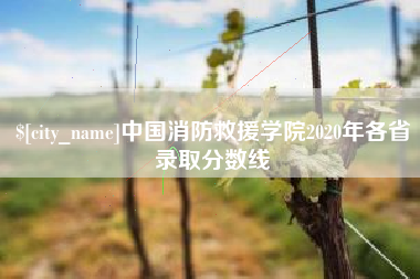 贵港中国消防救援学院2020年各省录取分数线