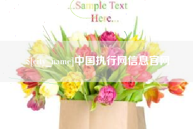贵港中国执行网信息官网