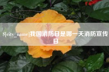 贵港我国消防日是哪一天消防宣传日