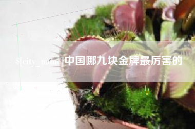贵港中国哪九块金牌最厉害的