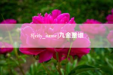 贵港九金是谁