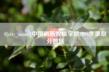 贵港中国消防救援学院2019年录取分数线