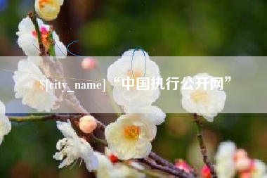 贵港“中国执行公开网”