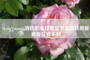 贵港消防职业技能证书查询以前能查现在查不到