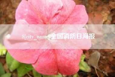 贵港全国消防日海报