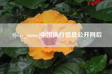 贵港中国执行信息公开网后