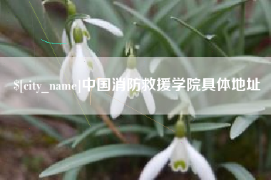 贵港中国消防救援学院具体地址