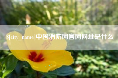 贵港中国消防网官网网址是什么
