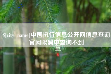 贵港中国执行信息公开网信息查询官网限消中查询不到