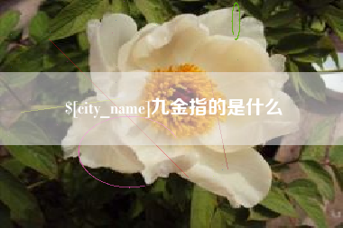 贵港九金指的是什么
