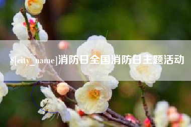 贵港消防日全国消防日主题活动