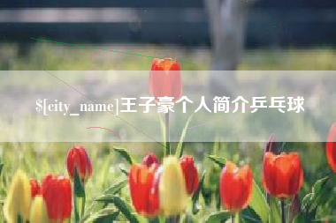 贵港王子豪个人简介乒乓球