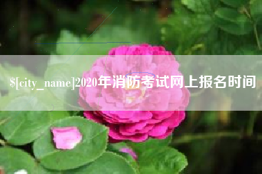 贵港2020年消防考试网上报名时间