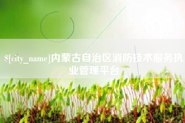 贵港内蒙古自治区消防技术服务执业管理平台