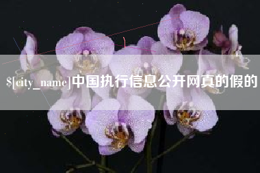 贵港中国执行信息公开网真的假的