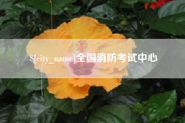 贵港全国消防考试中心