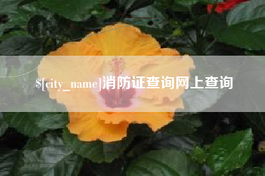 贵港消防证查询网上查询