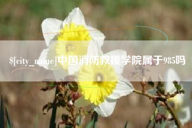 贵港中国消防救援学院属于985吗