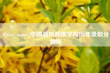 贵港中国消防救援学院历年录取分数线