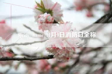 贵港11月9日消防日全称