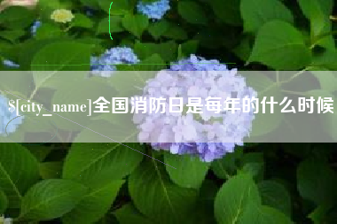 贵港全国消防日是每年的什么时候