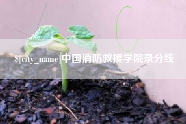 贵港中国消防救援学院录分线