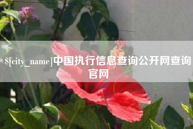 贵港中国执行信息查询公开网查询官网