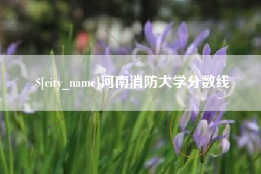 贵港河南消防大学分数线
