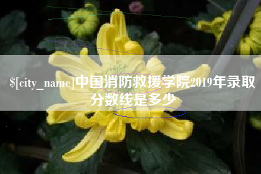 贵港中国消防救援学院2019年录取分数线是多少