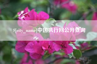 贵港中国执行网公开查询