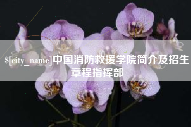贵港中国消防救援学院简介及招生章程指挥部