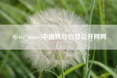 贵港中国执行信息公开网网