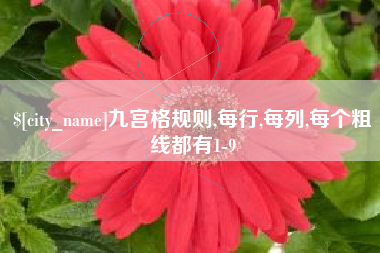 贵港九宫格规则,每行,每列,每个粗线都有1-9