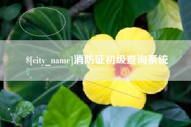 贵港消防证初级查询系统