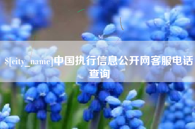 贵港中国执行信息公开网客服电话查询