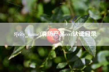贵港消防产品cccf认证目录
